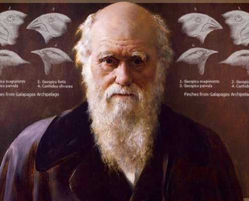 Teoría de la Evolución de Darwin