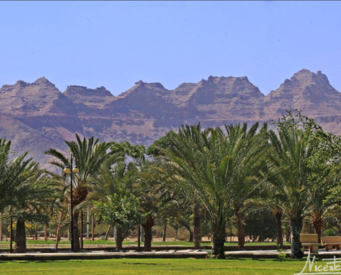 Nuestro hogar con gran “jardín” en el inmenso oasis de Nayarán.