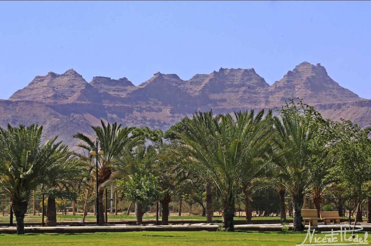 Nuestro hogar con gran “jardín” en el inmenso oasis de Nayarán.
