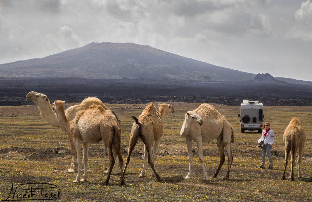 Ya no hay duda... ¡estamos en Arabia Saudita!