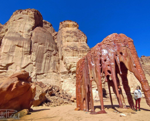 En medio del desierto, arte contemporáneo.