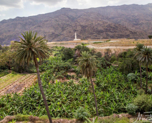 Junto a cada “perla”... un rico oasis.