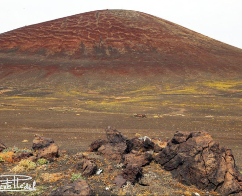 Días de volcán en volcán en volcán... de sorpresa en sorpresa.