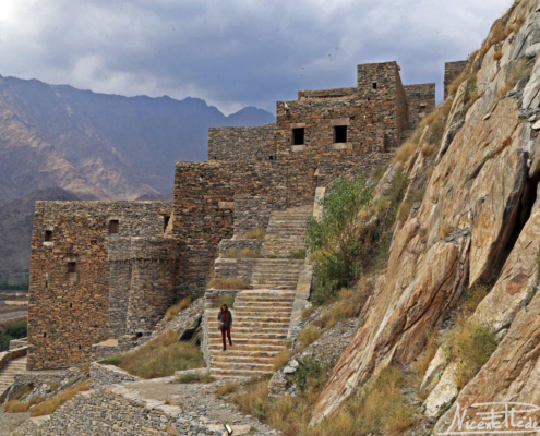 Thee Ain, un Edén preparado para defenderse.